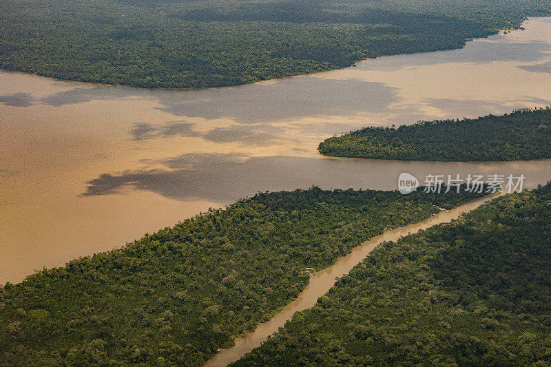 Acará河流-亚马逊雨林- Pará，巴西